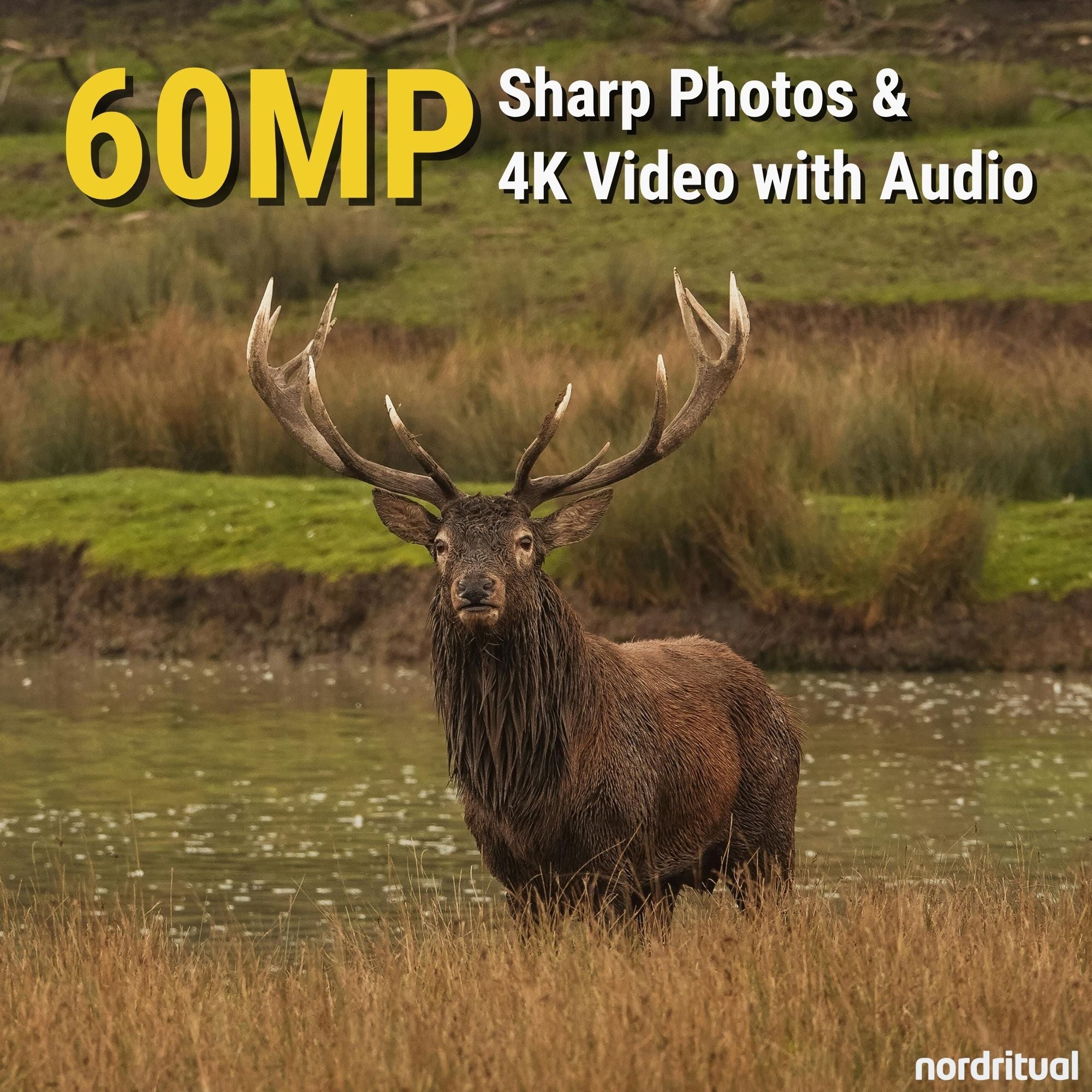 Nordritual 4K Solar Trail Camera